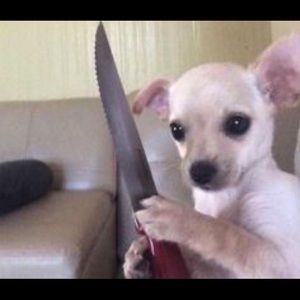 Meet your Posher, Tori